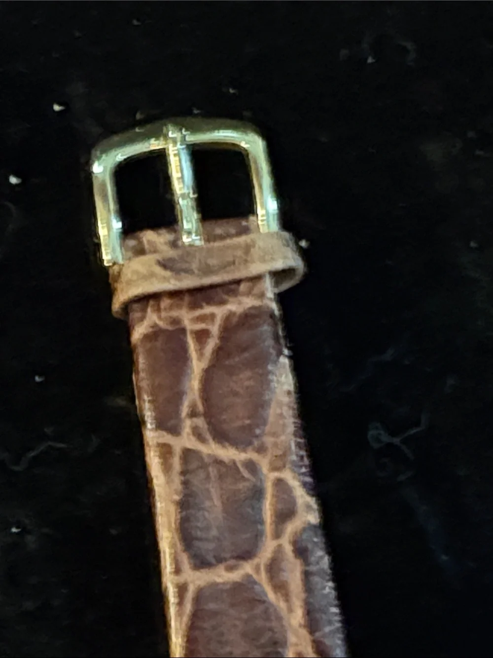 Guess watch simple